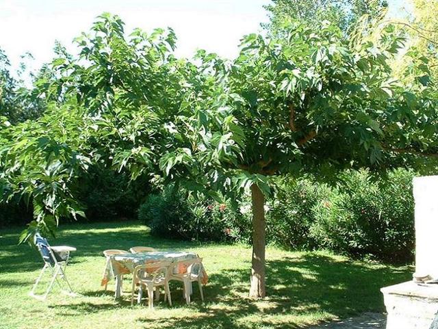 Le salon de jardin.jpg